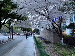-苏州市立医院本部母子保健中心