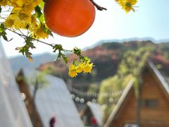 -九如山休闲旅游度假区