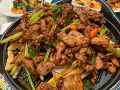 -巴依老爷新疆美食(望京小街店)