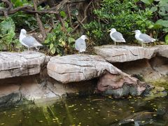 -长鹿旅游休博园