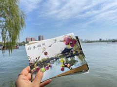 -济南大明湖景区