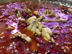 沸腾酸汤蛙-靓蛙馆