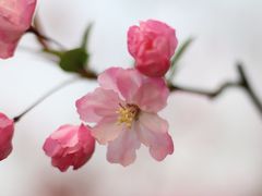 -范蠡湖公园
