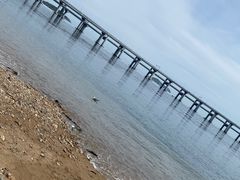 -星海湾跨海大桥