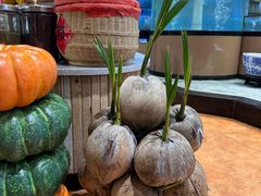 -琼菜人家·海南菜·文昌鸡(文昌大道店)