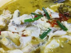 -陈生记黑鱼馆·20年活鱼现杀(宁波鼓楼店)