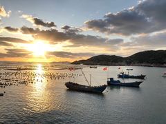 -枸杞岛