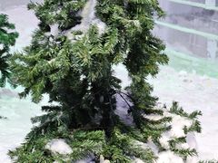 -宁波冰雪大世界(北仑区)