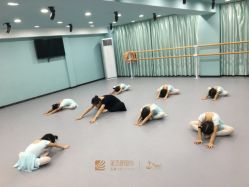 -昕艺尚皇家芭蕾舞蹈中心