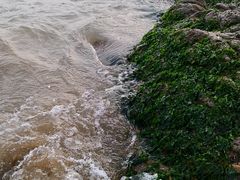 -南长涂沙滩