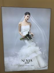 -金夫人婚纱摄影(总店)