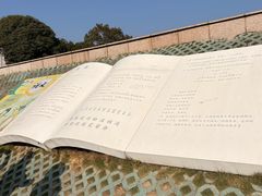 -观潮胜地公园