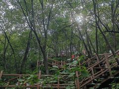 -大岭沟猕猴桃谷风景区