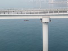 -星海湾跨海大桥