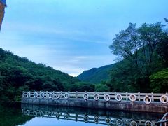 -龙道沟景区