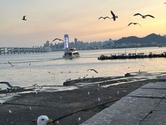 -星海广场