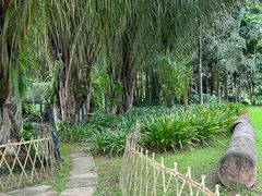 -中国科学院西双版纳热带植物园