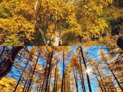 -苏木山森林公园