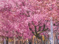 -天龙八部武侠城