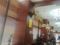 -尼特斯男士发型馆
