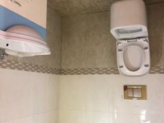 -金山农民画村-枫泾波兰倒置屋