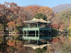 -灵谷景区