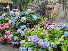 -龙佳生态温泉山庄