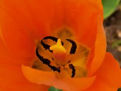 -长春公园(普阳街道)