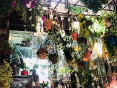 -循礼门鲜花花市(武汉循礼门店)