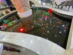 -碧中海汤泉汗蒸酒店