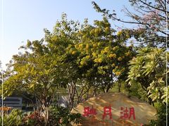 -映月湖公园