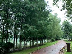 -滨湖塘西河公园