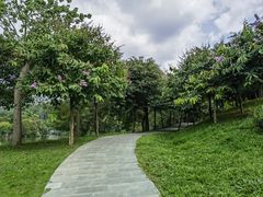 -森波拉奇妙世界