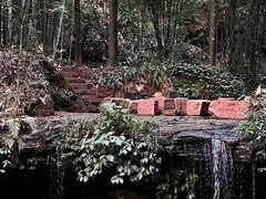 -蜀南竹海景区