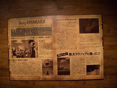 -东京塔海贼王主题公园