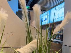 -蜜桃餐厅·伴山(绿宝广场店)