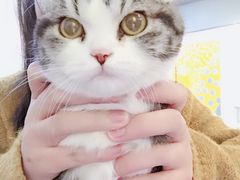 -一品格美术·中考高中成人美术培训