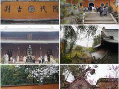 -紫阳古街