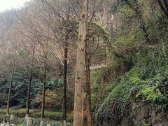 -幕燕滨江·长江观音景区