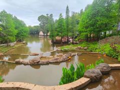 -美的鹭湖森林度假区