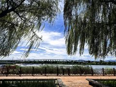 -绿堤公园