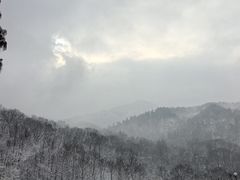 -波尔登森林公园