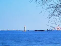 -上海吴淞炮台湾国家湿地公园