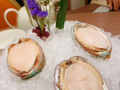 -協成海鮮火鍋(老店)