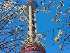 -东方明珠广播电视塔