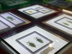 -上海昆虫博物馆