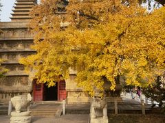-北京石刻艺术博物馆(五塔寺)