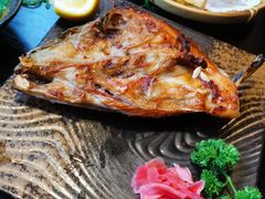 -春草居酒屋·晴子の店