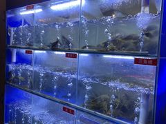 -石锅苗苗鱼(武汉首店)