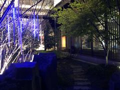 -梁鸿湿地丽笙度假酒店大堂吧